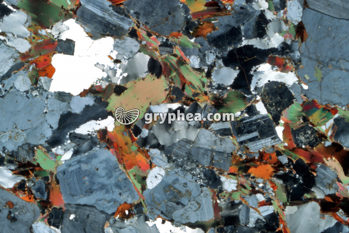 Granite LPA x3 - gryphea.com